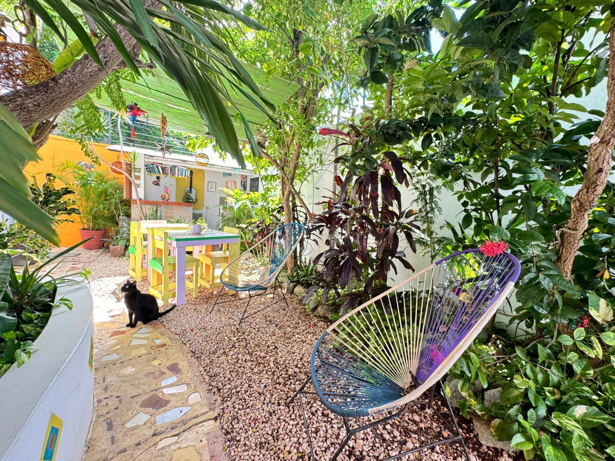"Vainilla B&B" - Stylish Comfort In Playa Del Carmen Eksteriør billede