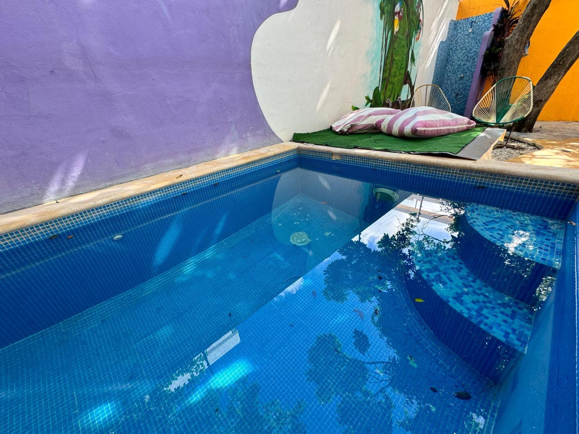 "Vainilla B&B" - Stylish Comfort In Playa Del Carmen Eksteriør billede