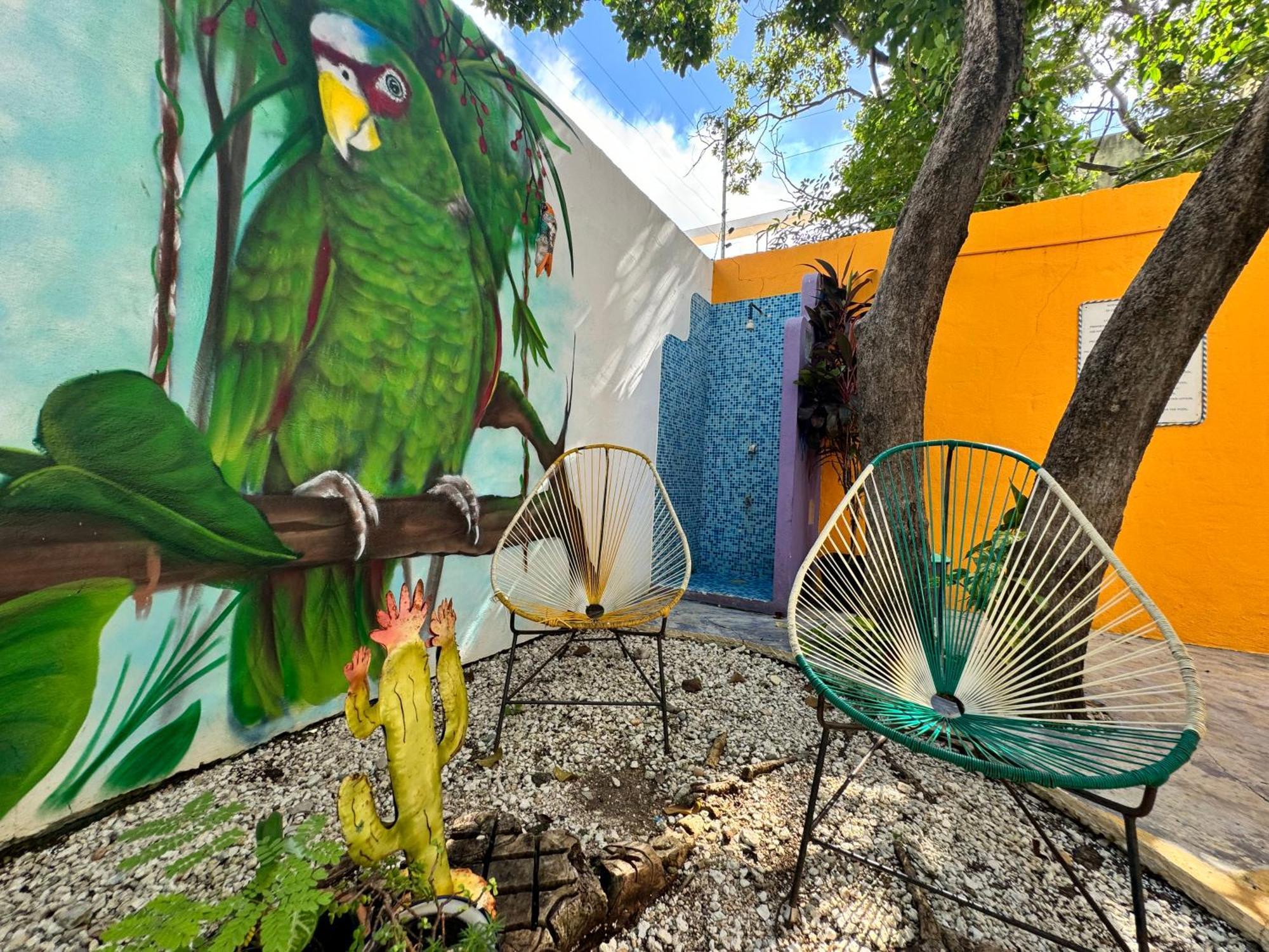 "Vainilla B&B" - Stylish Comfort In Playa Del Carmen Eksteriør billede
