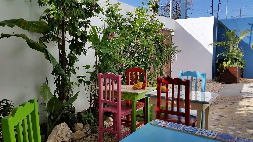 "Vainilla B&B" - Stylish Comfort In Playa Del Carmen Eksteriør billede