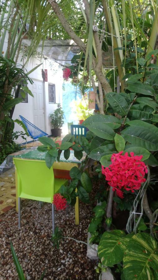 "Vainilla B&B" - Stylish Comfort In Playa Del Carmen Eksteriør billede