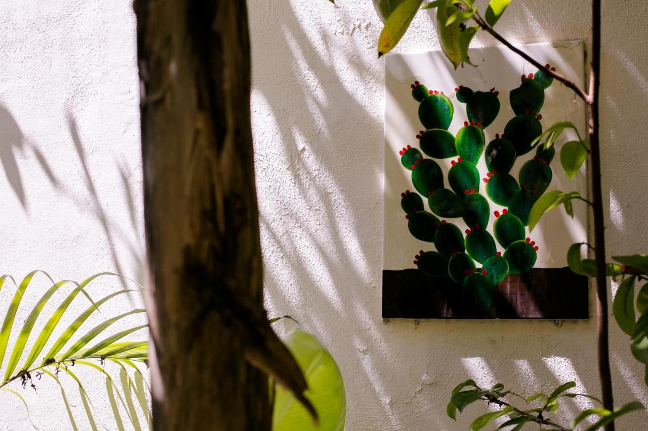 "Vainilla B&B" - Stylish Comfort In Playa Del Carmen Eksteriør billede