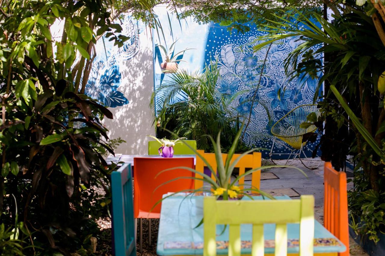 "Vainilla B&B" - Stylish Comfort In Playa Del Carmen Eksteriør billede